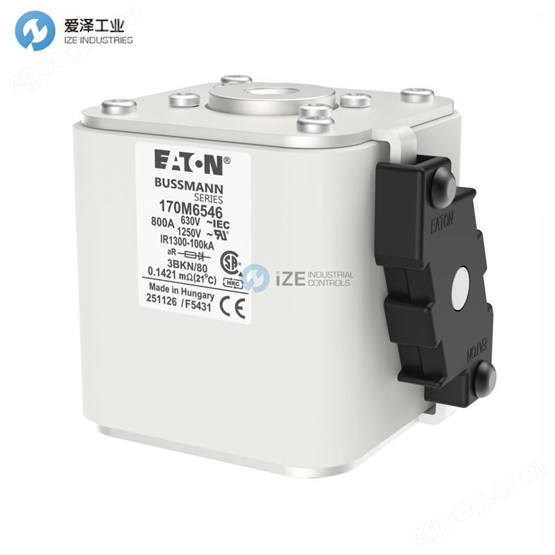 BUSSMANN�۶���170M6546