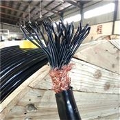安防監(jiān)控線RVVP