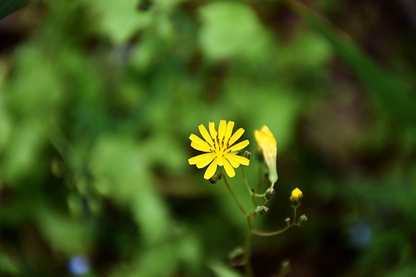 山西省重点行业企业碳排放管理体系试点名单公布！