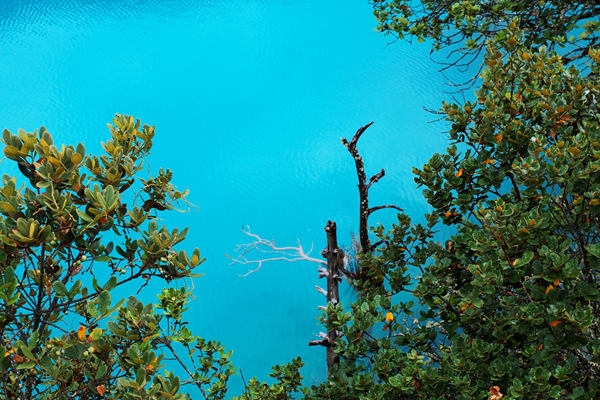 上海市經(jīng)濟(jì)信息化委公布2025年度零碳企業(yè)(園區(qū))！