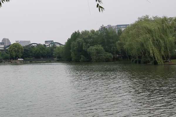 嘉兴开通全国首条海河联运枢纽零碳航线